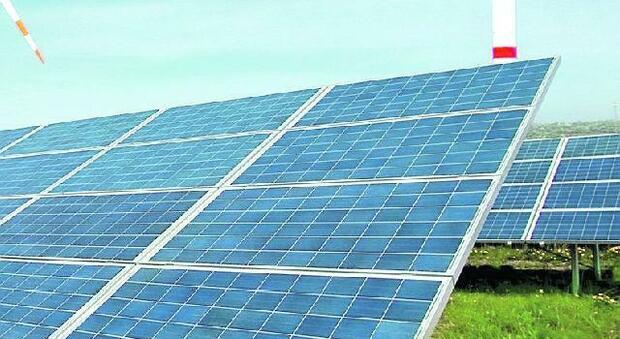 A Tarquinia i lavori per il parco solare agri-voltaico dei record: sarà il più grande d'Italia
