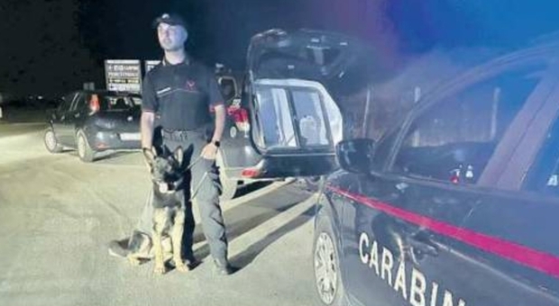 "Mala movida", pugno duro dei carabinieri: controlli a tappeto sul litorale. Sequestrati droga, pistola e 10mila euro di abiti contraffatti