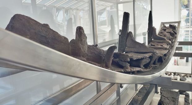 Roma, spunta una grande ruota di legno dalle terme: duemila anni fa azionava il sistema idraulico