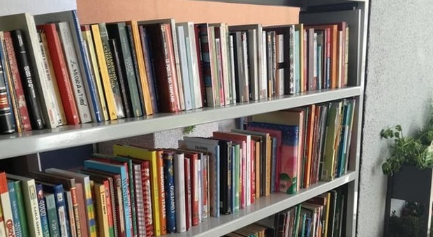 Bambino di 10 anni «non ha il green pass»: biblioteca di Bresso gli vieta l'ingresso