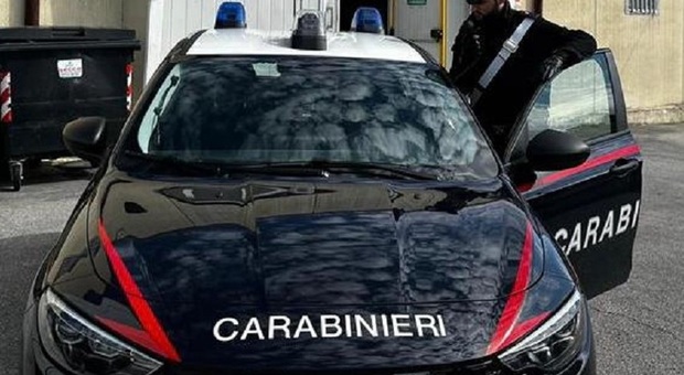 Ladra seriale mette a segno colpi in tutta Italia e viene arrestata 25 volte: ora potrebbe uscire per allattare il figlio