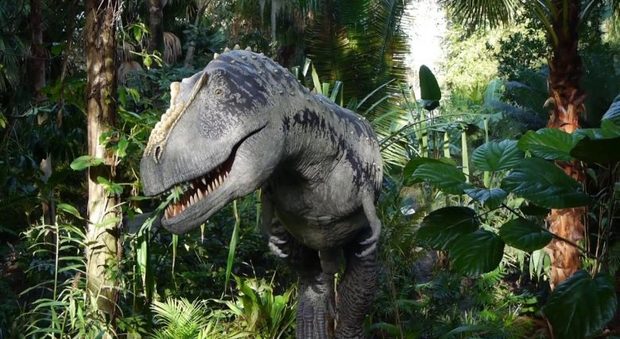 Jurassic Park a Fregene: 24 dinosauri a grandezza naturale nell'Oasi del Wwf