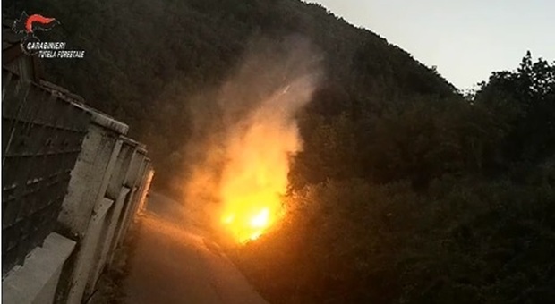 Incendio nei boschi dell'Irpinia: il piromane incastrato dalle telecamere