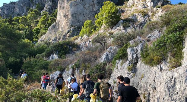 I forum dei giovani ripuliscono i sentieri più belli di Capri