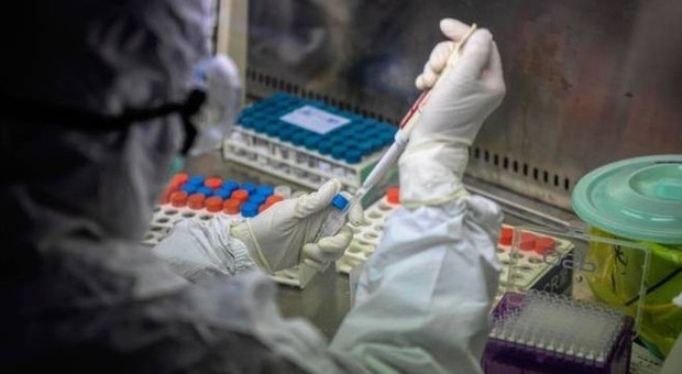 Coronavirus, virologo francese: «Farmaco anti-malaria può guarirlo»