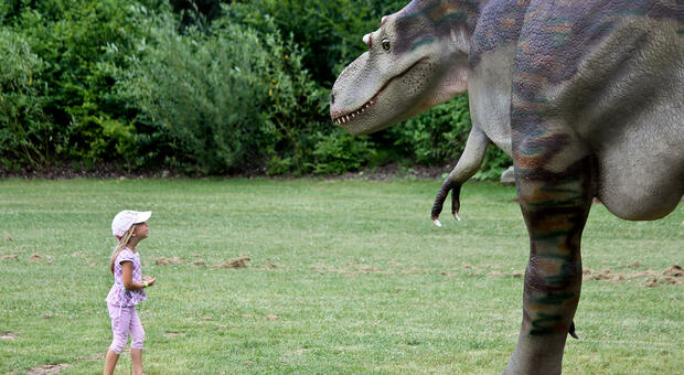 A Cingoli arrivano i dinosauri, apre domani il Dino Park “World Of Dinosaurs” nel famoso borgo delle Marche