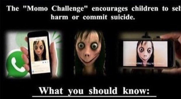 Muore suicida a undici anni per un gioco online