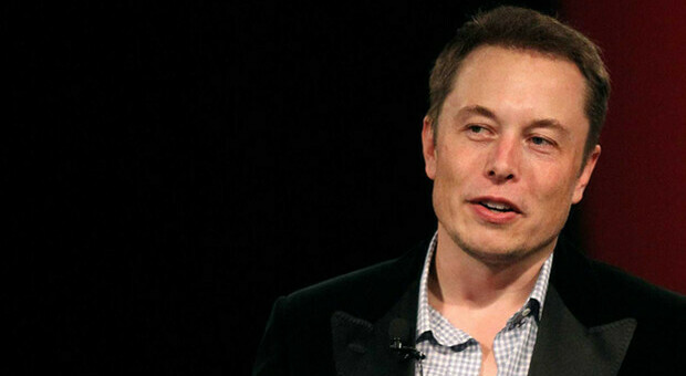 Elon Musk punta a entrare nel cervello umano per guarire dalle malattie: la sperimentazione sul maiale