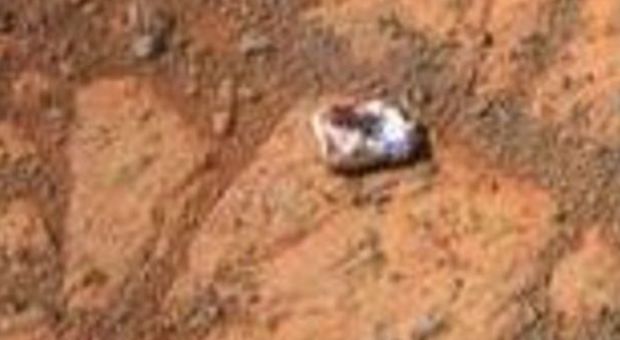 «La Nasa sbaglia, su Marte c'è vita»: scienziato fa causa all'agenzia spaziale