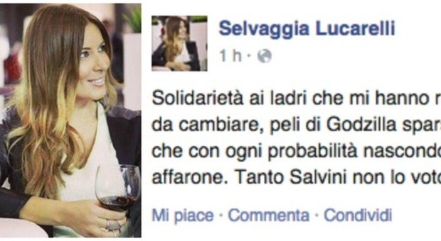 Rubata l'auto a Selvaggia Lucarelli Ironie contro Salvini su Facebook