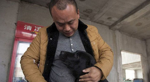 Investe tutti i suoi risparmi per un rifugio per cani: "Ho salvato 2000 animali"
