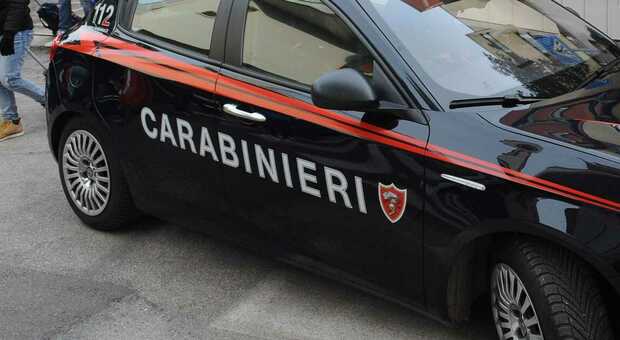 Carabinieri aggrediti in un bar: emessi due daspo Willy