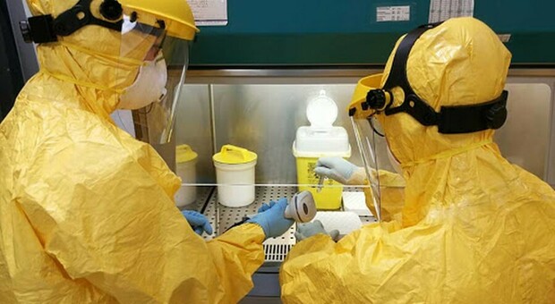Coronavirus, origine animale o sfuggito da laboratorio Wuhan? Rapporto 007 Usa «inconcludente». Resta il giallo