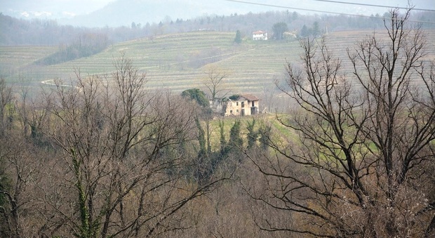 Una vista della Rocca Bernarda a Premariacco