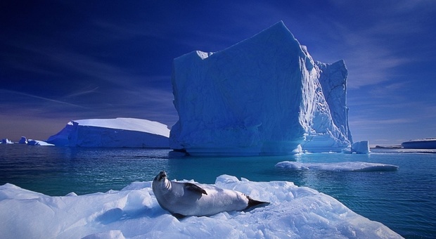 Dall'Alaska alla Groenlandia fino alle Alpi: in 55 anni perse 9 miliardi di tonnellate di ghiaccio