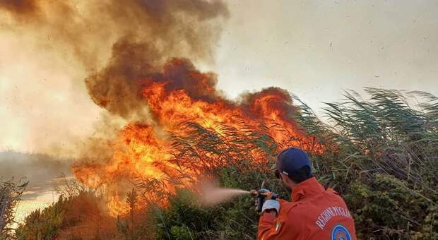 Salento, ancora un incendio: bruciati ettari di vegetazione