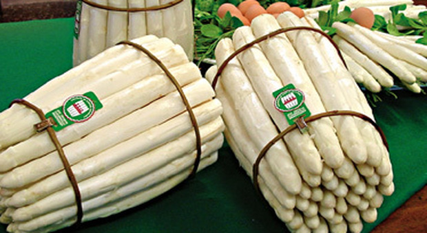 All'università del gusto di Creazzo gli asparagi saranno serviti con la trota del Brenta