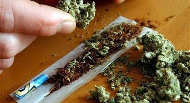 Legalizzazione cannabis, è la volta buona? "In aula il 25 luglio"