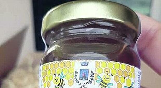 Il miele ha addolcito il ritorno sui banchi: allievi in aumento