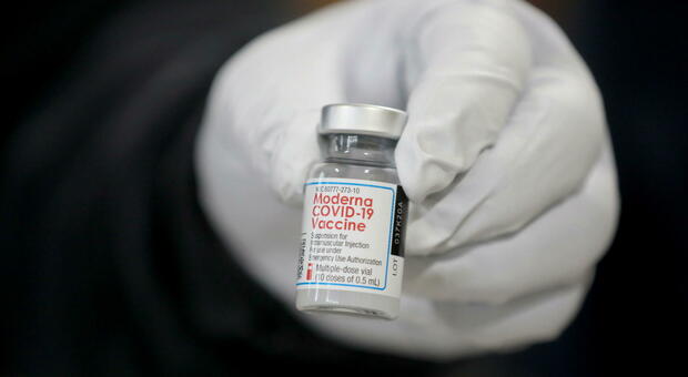 Vaccino Moderna, via libera dell'Aifa: «Arma potentissima». L'ad della società: «Protezione dal Covid fino a 2 anni»