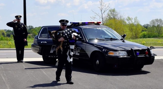 Agenti schierati e saluto militare per l'ultimo viaggio del cane poliziotto