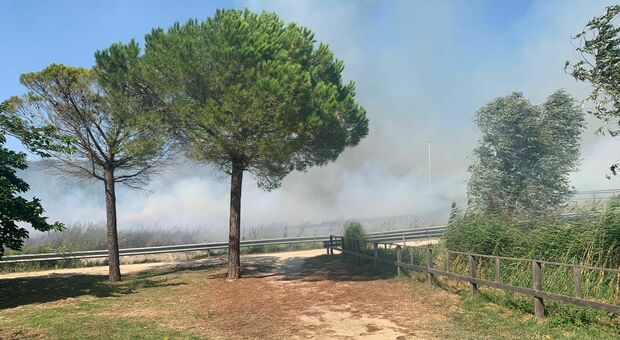 Brindisi, fuoco al Parco del Cillarese: distrutti duemila metri quadrati di vegetazione