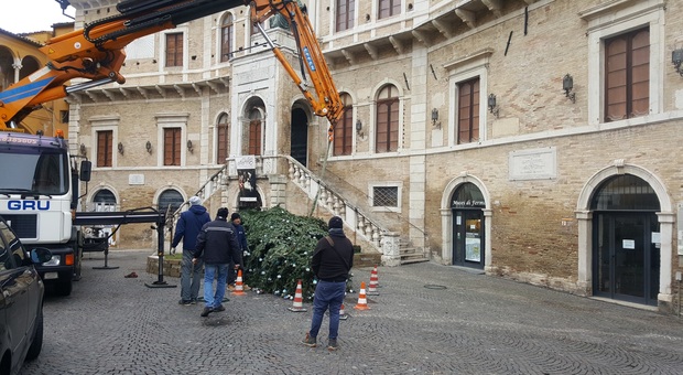 Fermo, la folata di vento solleva e abbatte l'albero di Natale in piazza