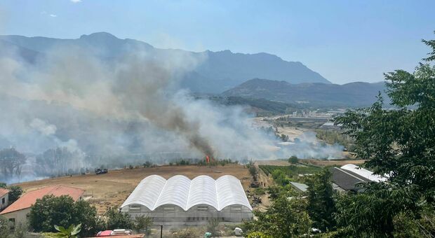 Incendio a Buccino, in pericolo l'area degli uliveti e le case