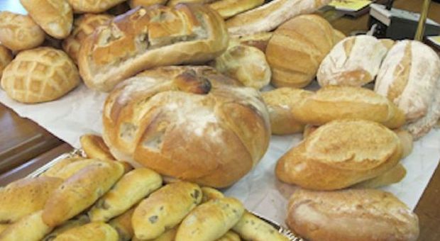Università, a Bari realizzato il primo pane di grano senza glutine