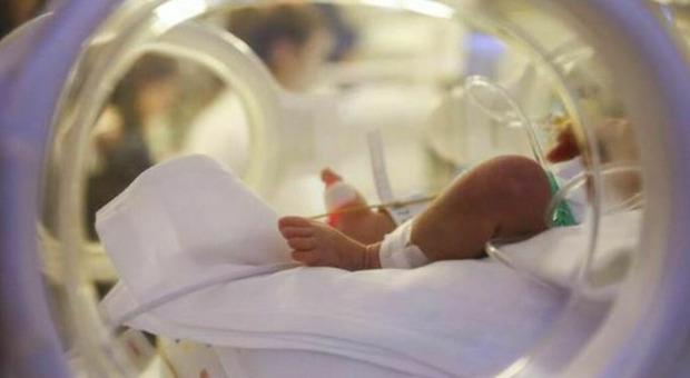 Viene al mondo in aereo sul volo Dubai-Malpensa: un'ambulanza speciale in pista ad aspettare il neonato
