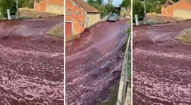 Portogallo, fiumi di vino in strada: scoppiate due cisterne e inondato villaggio di Anadia