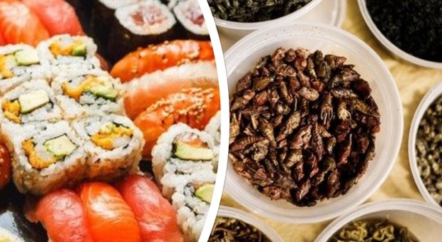 Lo studio: chi mangia spesso il sushi sarà più propenso a mangiare insetti