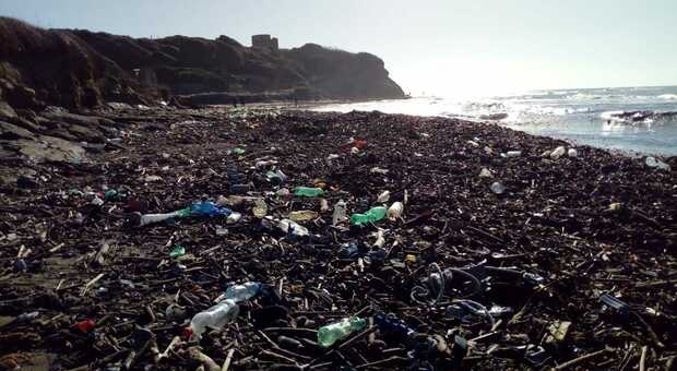 Plastica in mare, scoperti crostacei in grado di frammentarla in 4 giorni. «Ma è pericoloso per l'uomo»
