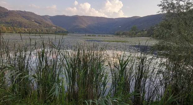 Il lago di Fimon è invaso dalle alghe infestanti