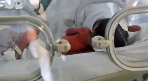 Milano, principio d'incendio alla Mangiagalli: evacuato reparto di terapia intensiva neonatale con 23 bimbi