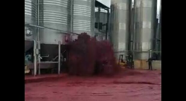 Esplode la vasca: 50.000 litri di vino finiscono sulla strada Video