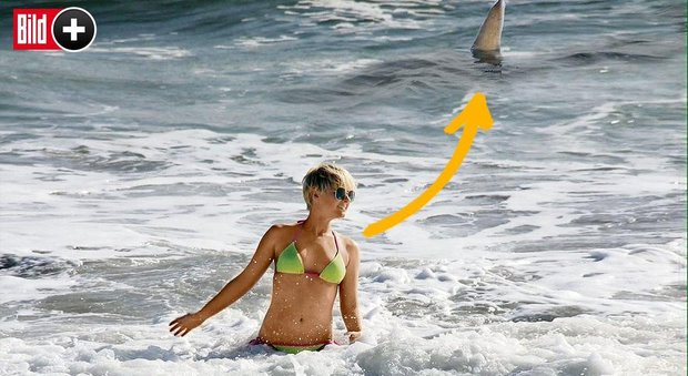 La gente scappa in spiaggia, la celebre modella non si accorge di nulla: "C'era uno squalo" -Guarda