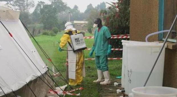 Ebola, scoperta la causa dell'epidemia in Africa: colpa di un bimbo morso da un pipistrello