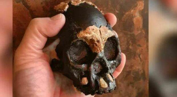 Sud Africa, scoperto teschio di bambino di 240mila anni fa: «Fu