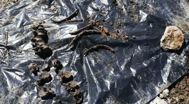 Le ossa del soldato della Grande guerra ritrovate in Marmolada