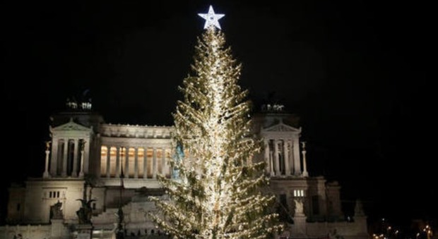 Roma, l'albero di Natale sbeffeggiato sui social: «Ecco Spelacchio»