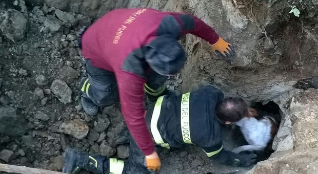 Sara precipita in una grotta: corsa contro il tempo per salvare la cagnolina bretone