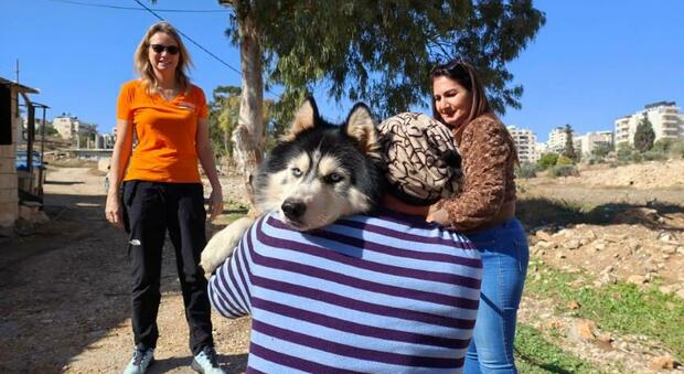 "Animal Heroes" vola in Cisgiordania per salvare i cani sotto alle bombe