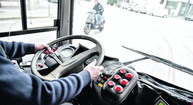 Alla guida del bus senza cintura: l'azienda striglia 45 autisti