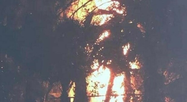 Giovani piromani danno fuoco alla villa comunale di San Marzano