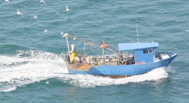 Scatta il fermo, stop alla pesca nell'Adriatico. Coldiretti: «Occhio al prodotto straniero o congelato»