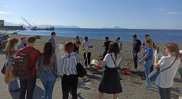 San Giovanni, topi e piccioni morti sulla spiaggia: in azione i volontari del Rotaract