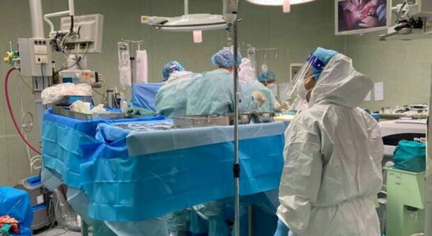 Bambina di 5 anni salvata con un trapianto di fegato collegato al cuore. Il 'miracolo' all ospedale Molinette di Torino