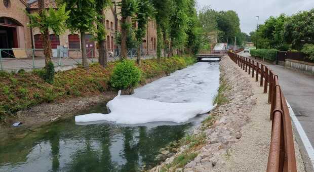 Canale Piavesella inquinato
