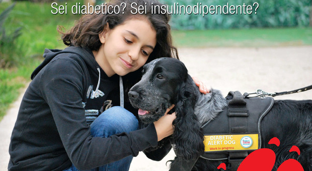 «Con il Fiuto Ti Aiuto», l'addestramento dei cani allerta diabete